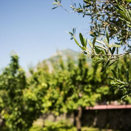 Casa Vacanza Dal Cavaliere 蒙特萨尔基奥 外观 照片